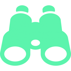 binoculars groen/blauw